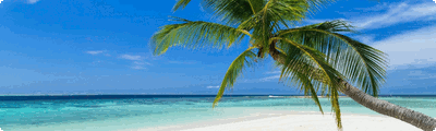 Das Beste für Deinen Karibikurlaub
