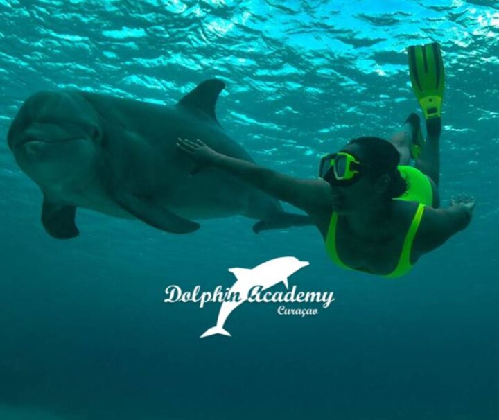 Snorkel Combo by Dolphin Academy